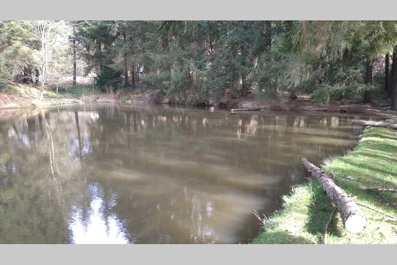 Vente terrain Loupfougères  