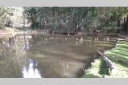 Vente terrain Loupfougères  