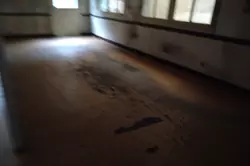 Professionnel immeuble Saint-Pierre-des-Nids  