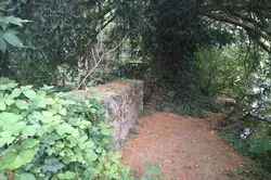 Vente terrain Saint-Aubin-de-Locquenay  