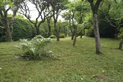 Vente terrain de loisirs Sougé-le-Ganelon  