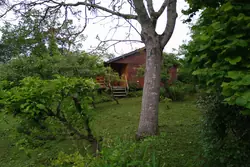 Vente terrain de loisirs Sougé-le-Ganelon  