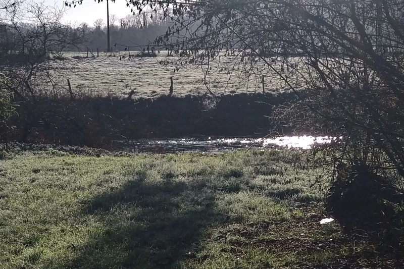 Vente terrain de loisirs Saint-Léonard-des-Bois  