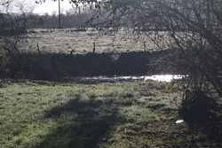 Vente terrain de loisirs Saint-Léonard-des-Bois Vente terrain de loisirs Saint-Léonard-des-Bois