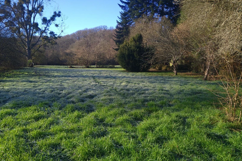 Vente terrain de loisirs Saint-Léonard-des-Bois  