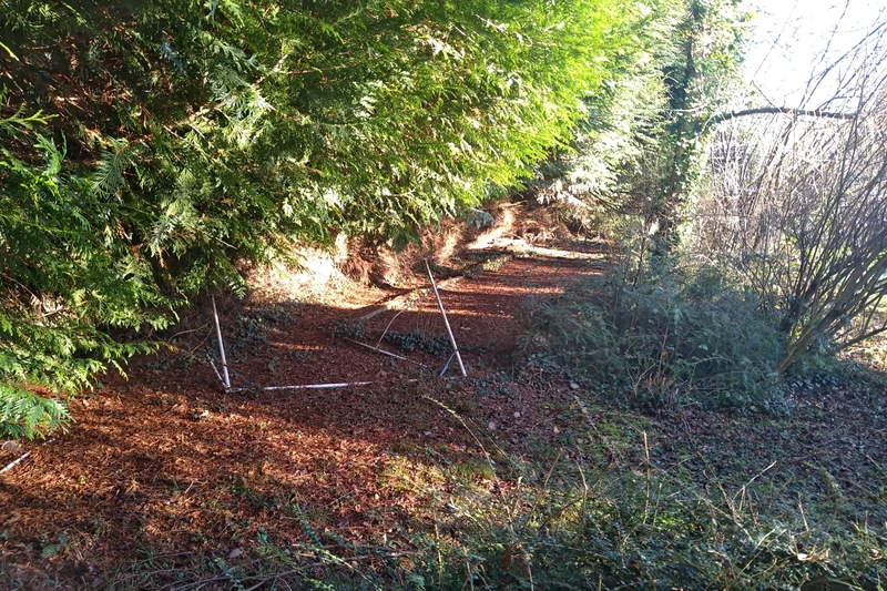 Vente terrain de loisirs Saint-Léonard-des-Bois  