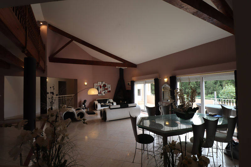 Photo Villa Saint-Clément-de-Rivière Saint clément de rivière, achat villa 7 chambres 350 m²