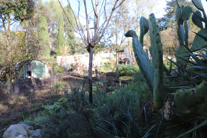 Photo Terrain Castelnau-le-Lez achat terrain 1310 m²