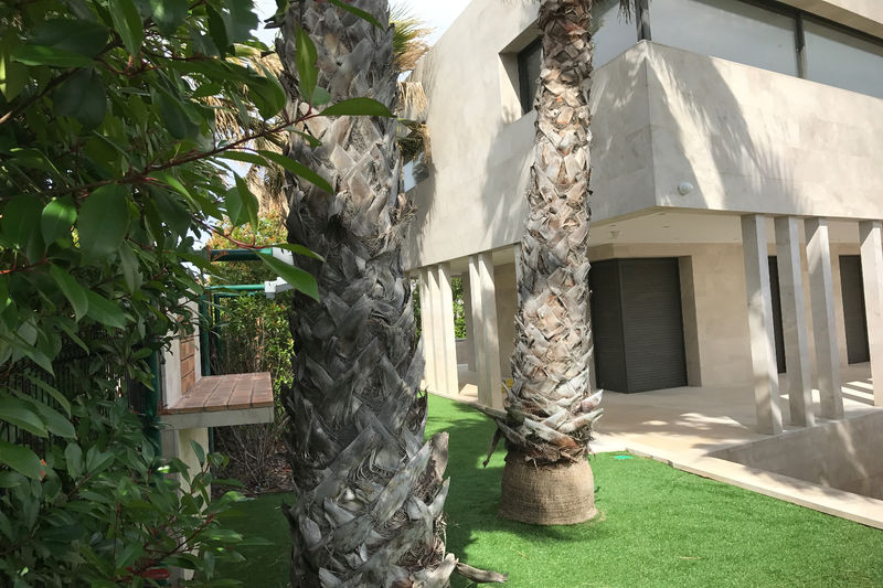 Photo Villa Jacou Mauguio, achat villa 4 chambres 230 m²