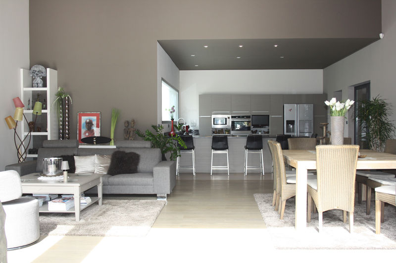 Photo Villa Montpellier Castries, achat villa 5 chambres 266 m²