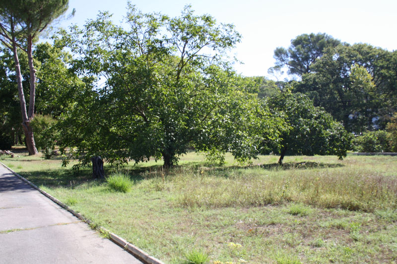 Photo Propriété Montpellier achat propriété 4 chambres 350 m²
