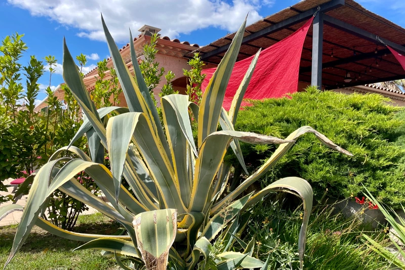 Vente maison Teyran  