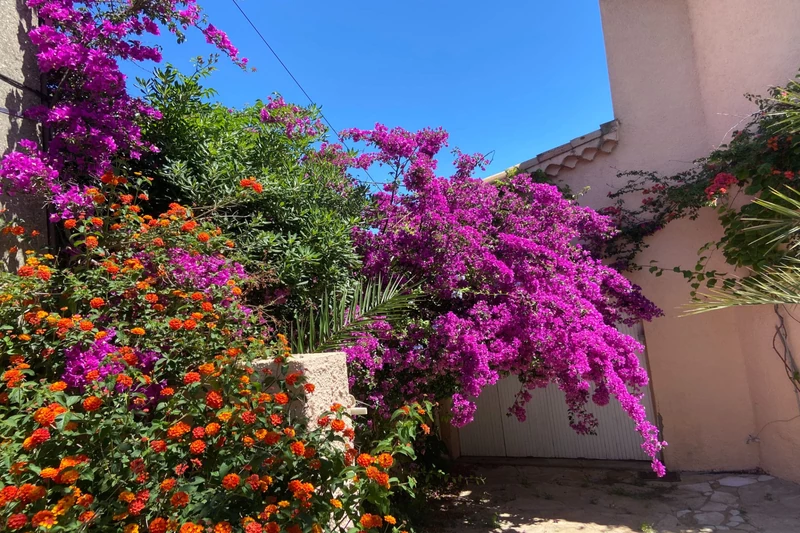 Vente maison Montpellier  