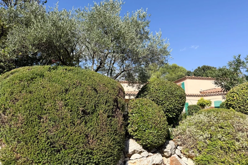 Vente villa provençale Assas  