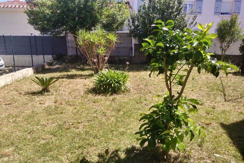 vente Maison villa Céret Vallespir Villa Céret Vallespir, Location villa 3 chambres 120 m²