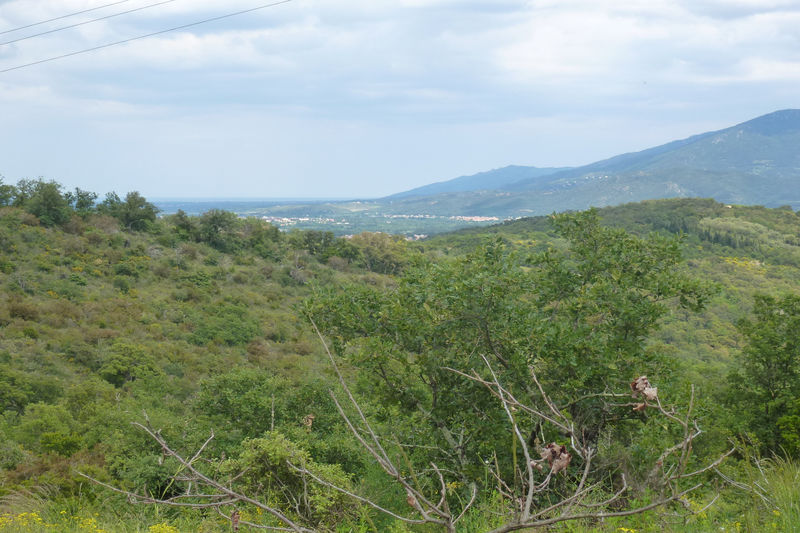 vente terrain de loisirs Céret Village Terrain de loisirs Céret Village, achat terrain de loisirs 5166 m²