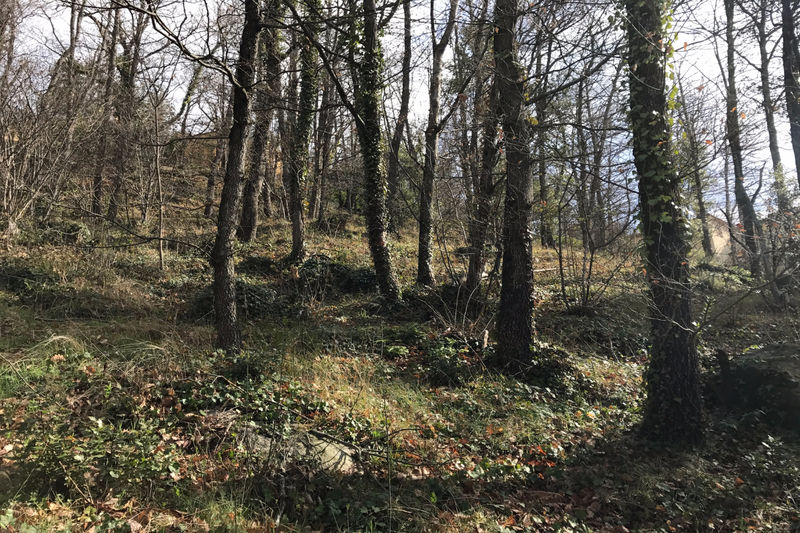 vente Terrain Maureillas-las-illas Terrain Maureillas-las-Illas achat terrain 2332 m²