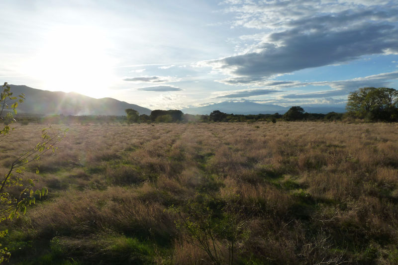 vente terrain non constructible Saint-andré Les albères Terrain non constructible Saint-André Les albères, achat terrain non constructible 3800 m²