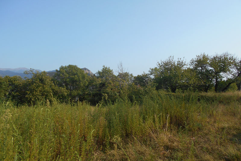 vente land Serralongue Land Serralongue to buy land 1192 m²