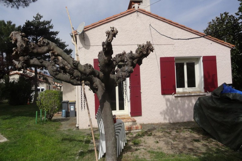 Maison A Vendre Ceret Roussillon Immobilier