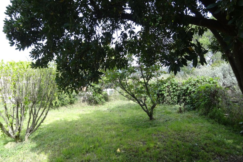 vente Land Céret Vallespir Land Céret Vallespir, to buy land 610 m²