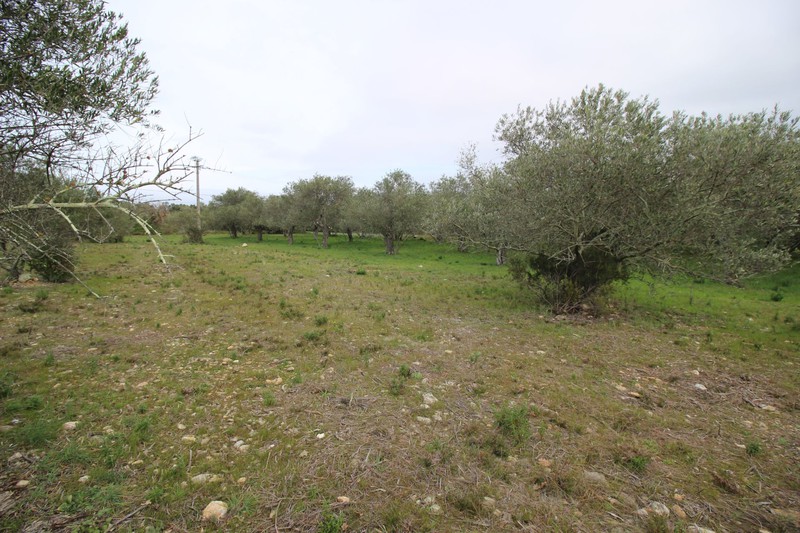 vente agricultural land Argelès-sur-mer The aspres Agricultural land Argelès-sur-Mer Les aspres, to buy agricultural land 1605 m²