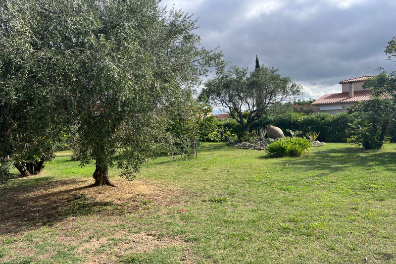 Land Céret Vallespir,   to buy land   609&nbsp;m&sup2;