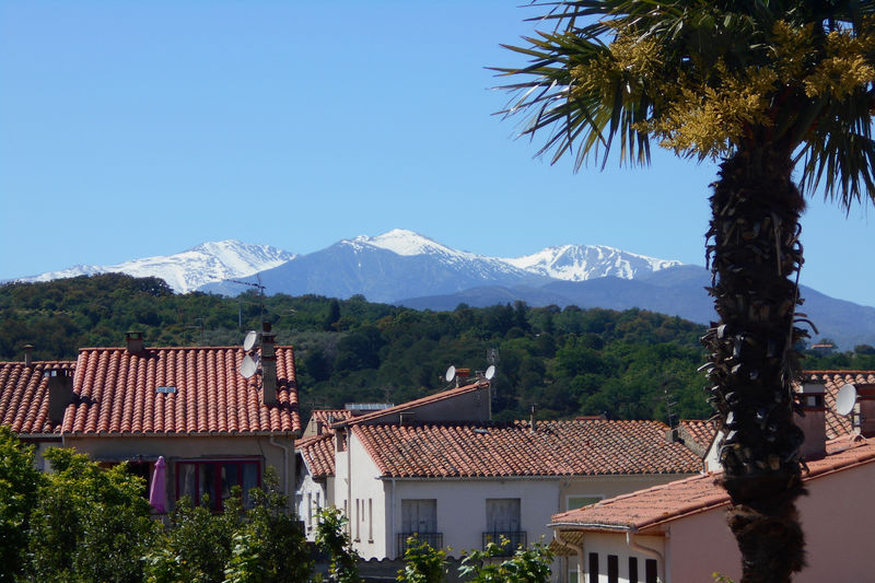 vente Appartement Céret Appartement Céret achat appartement 3 pièces 75 m²