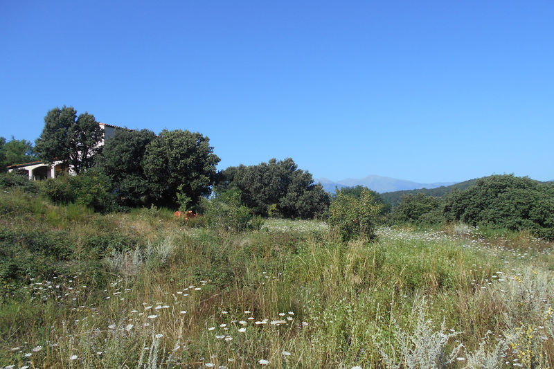 vente Terrain Oms Les aspres Terrain Oms Les aspres, achat terrain 1442 m²