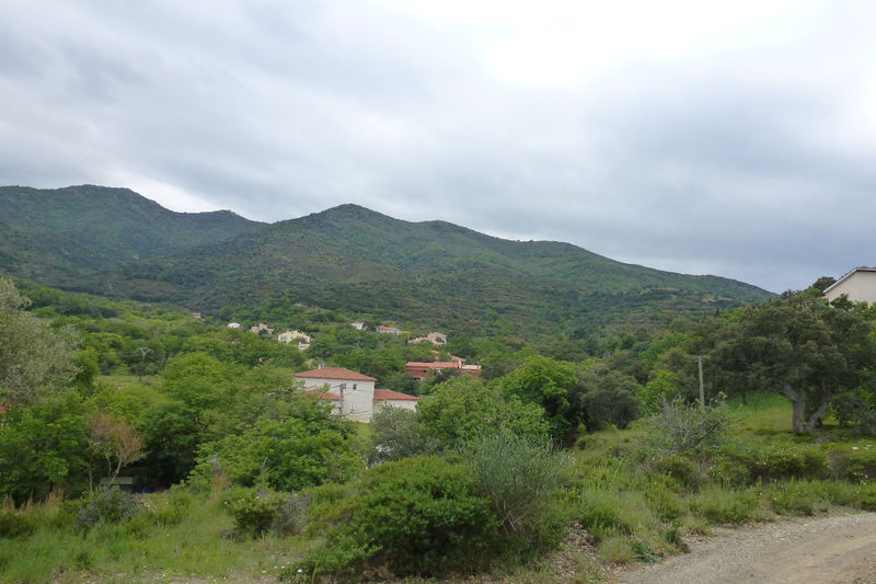 vente terrain à bâtir Montesquieu-des-albères Les albères Terrain à bâtir Montesquieu-des-Albères Les albères, achat terrain à bâtir 2000 m²