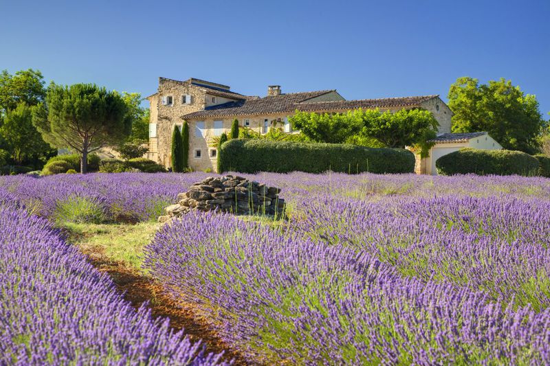 Location saisonnière maison Bonnieux Location saisonnière maison Bonnieux Maison Bonnieux Luberon, Location saisonnière maison 6 chambres