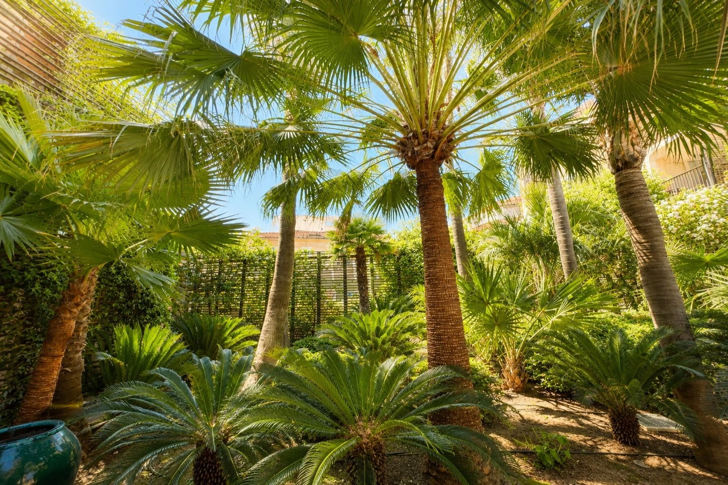 Appartement 3 pièces 43 m² · à Antibes · 43 m² · 298 000 €