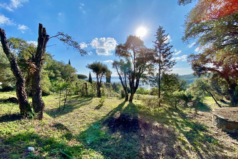 Vente terrain Grimaud Vente terrain Grimaud Terrain Grimaud Golfe de st tropez, achat terrain 2100 m²