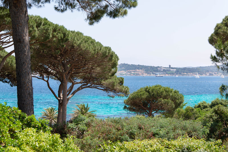 Vente villa Grimaud Vente villa Grimaud Villa Grimaud Golfe de st tropez, achat villa 6 chambres 320 m²
