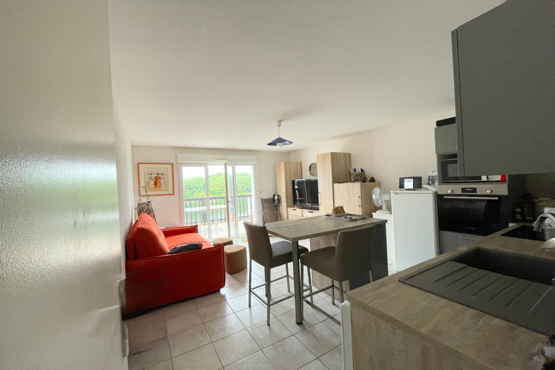 Vente appartement Saint-Cyprien  