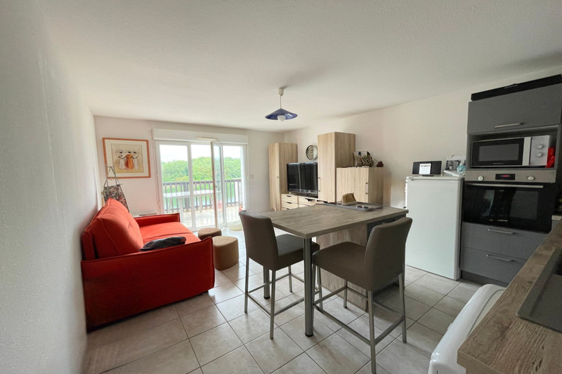 Vente appartement Saint-Cyprien  
