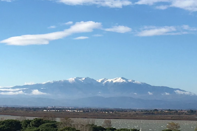 Vente appartement Canet-Plage  