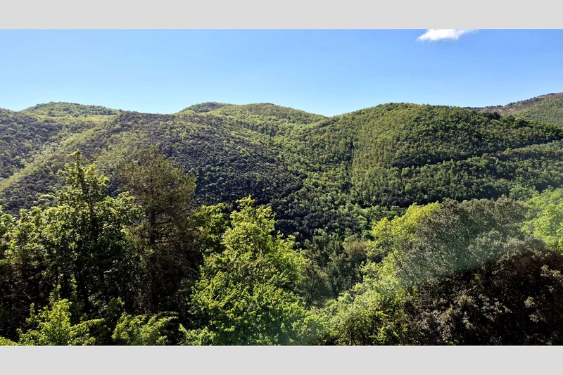 Vente propriété Maureillas-las-Illas  