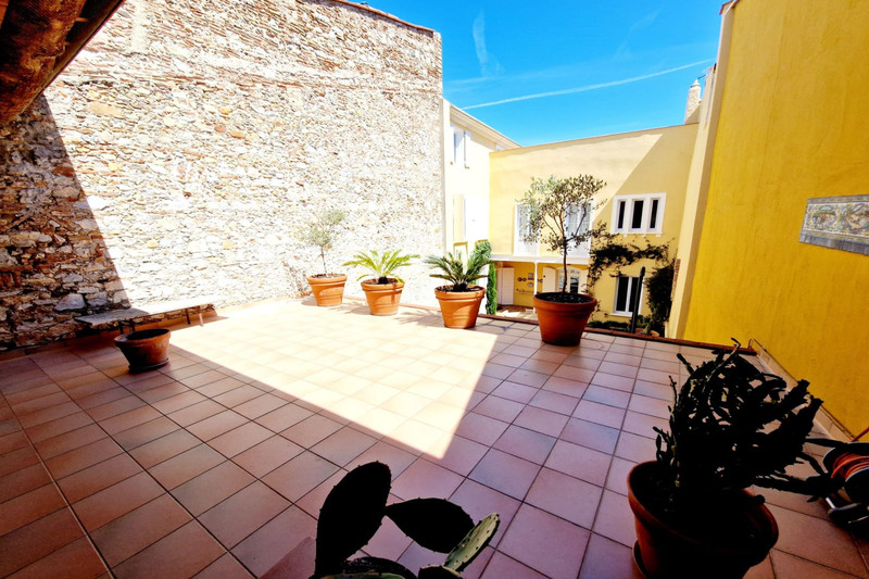 Vente maison de maître Saint-Laurent-de-la-Salanque  