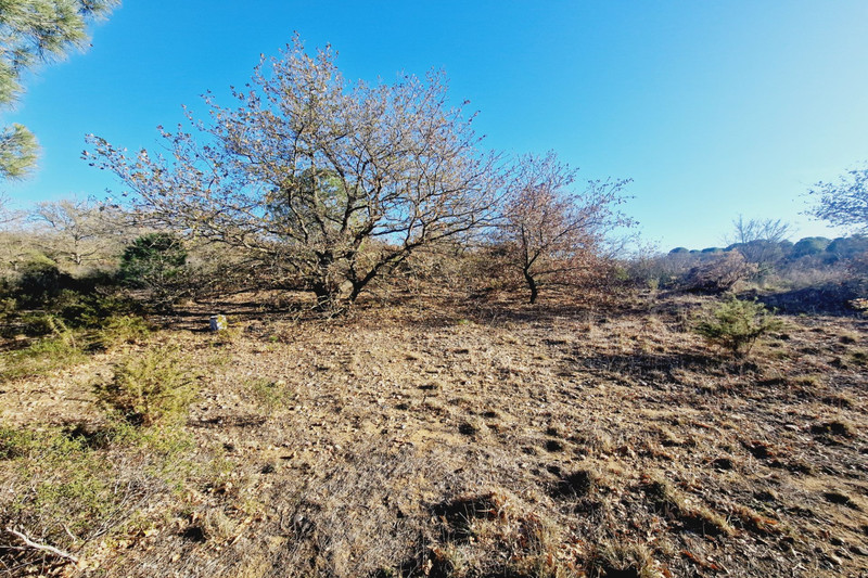 Vente terrain Canet-en-Roussillon  