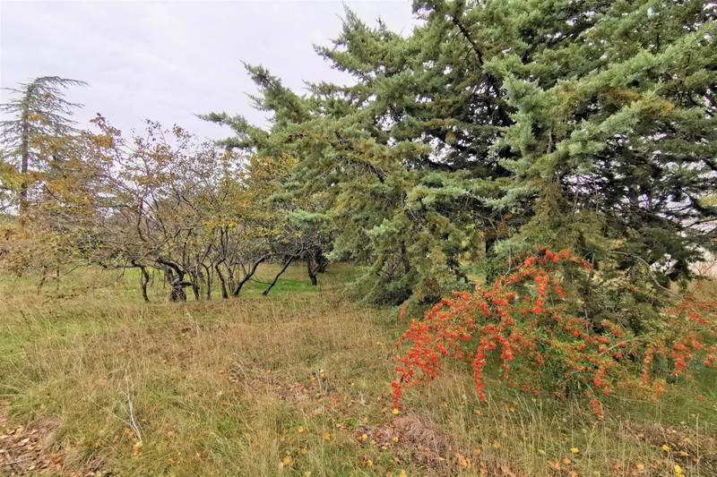 Photo Land Plan-d'Aups-Sainte-Baume to buy land 979 m²