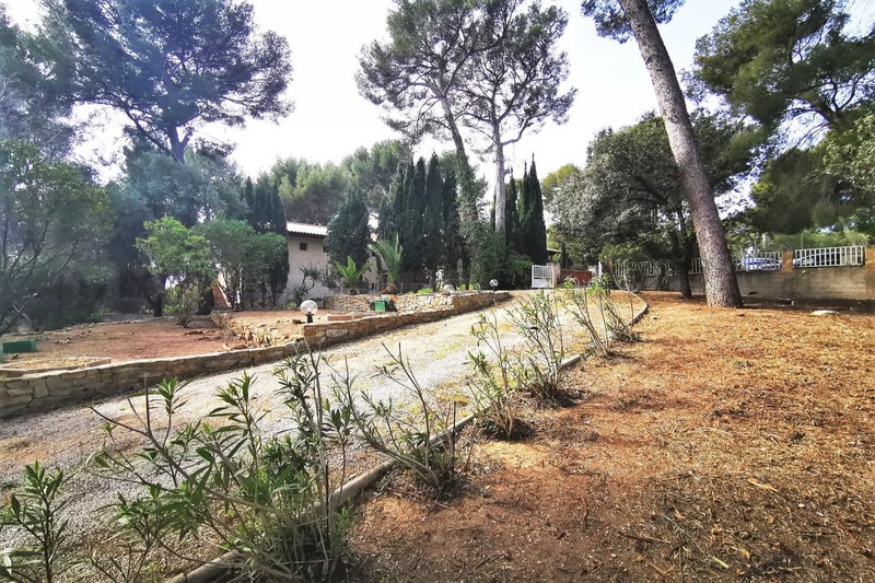 vente Terrain La ciotat Quartier du peymian Terrain La Ciotat Quartier du peymian, achat terrain 715 m²
