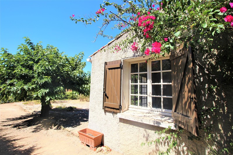 Photo Maison Saint-Cyr-sur-Mer achat maison 3 chambres 87 m²