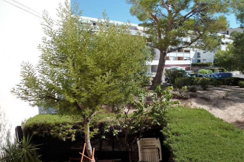 vente Apartment La ciotat Baie des anges Apartment La Ciotat Baie des anges, to buy apartment 1 room 27 m²