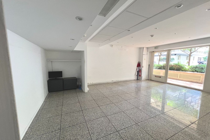 Professionnel local commercial Monaco  