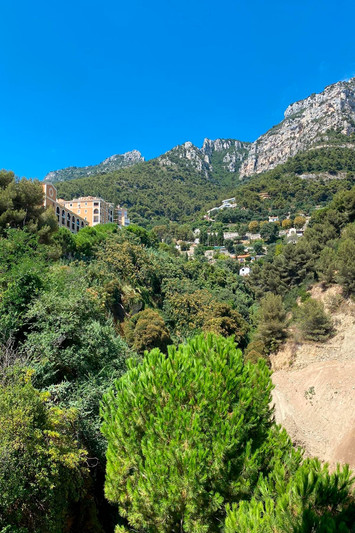 Vente appartement Monaco  