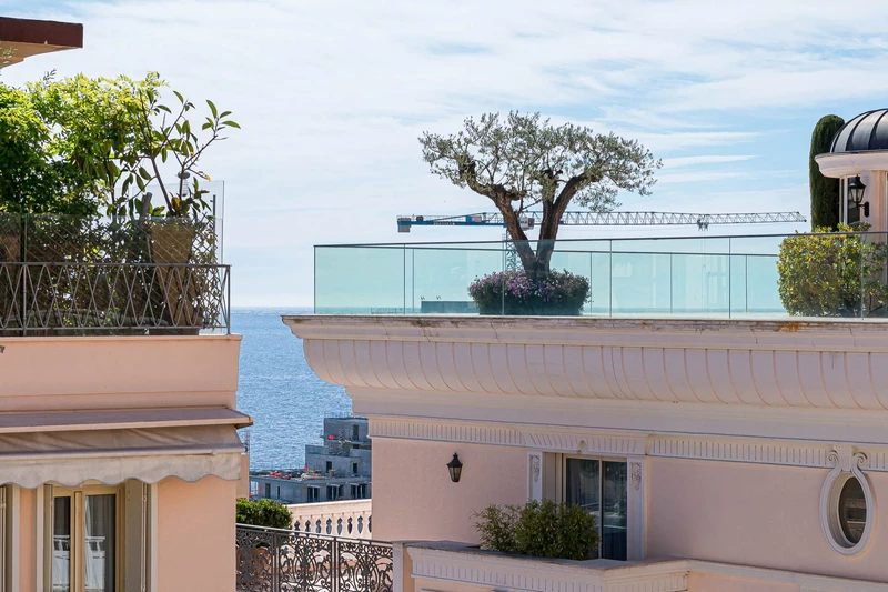 Vente appartement Monaco  