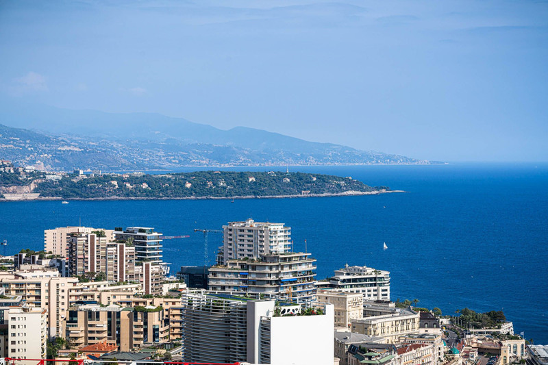 Vente duplex-Roof Monaco  