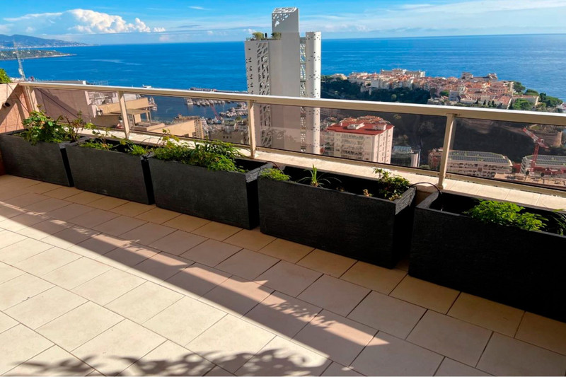 Apartment Monaco Jardin exotique,   to buy apartment  5 rooms   293&nbsp;m&sup2;