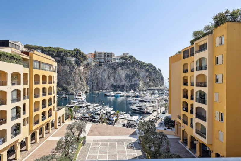 Appartement Monaco Fontvieille,   achat appartement  4 pièces   196&nbsp;m&sup2;
